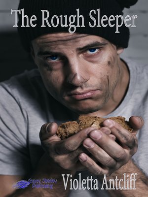 cover image of The Rough Sleeper